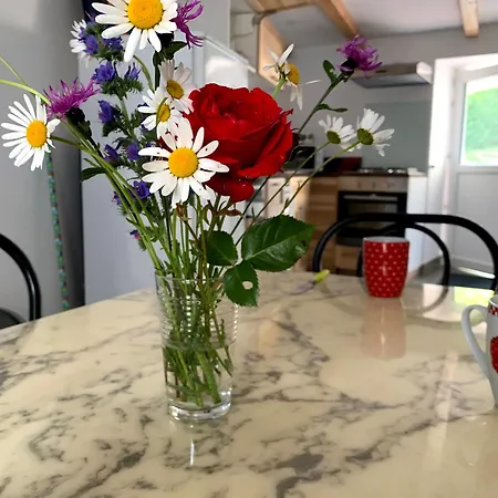 Du Sabotier Saint-Bonnet-pres-Orcival